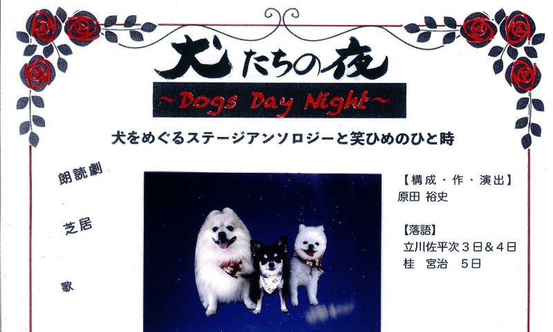 『犬たちの夜』