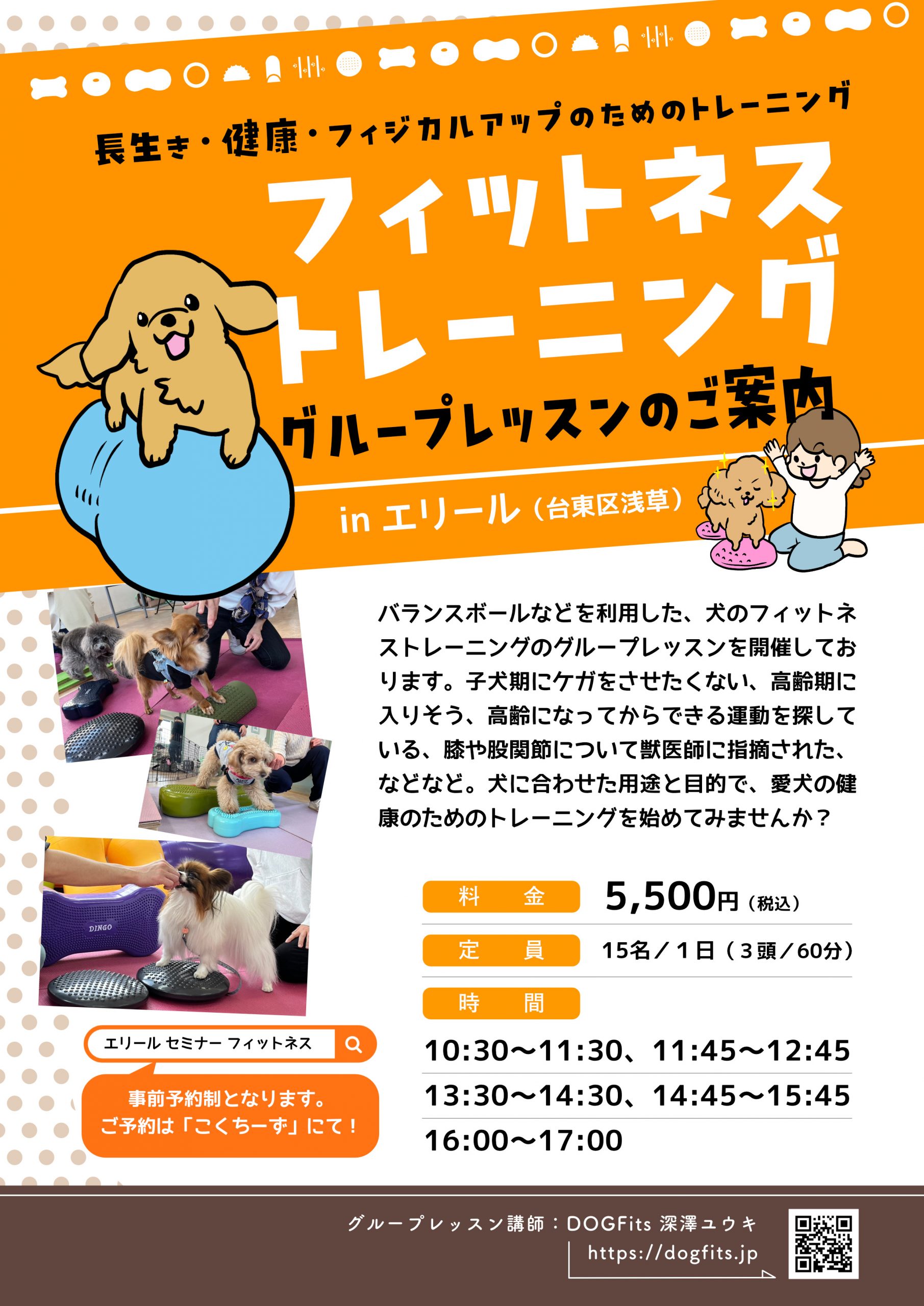 ドッグフィットネストレーニング