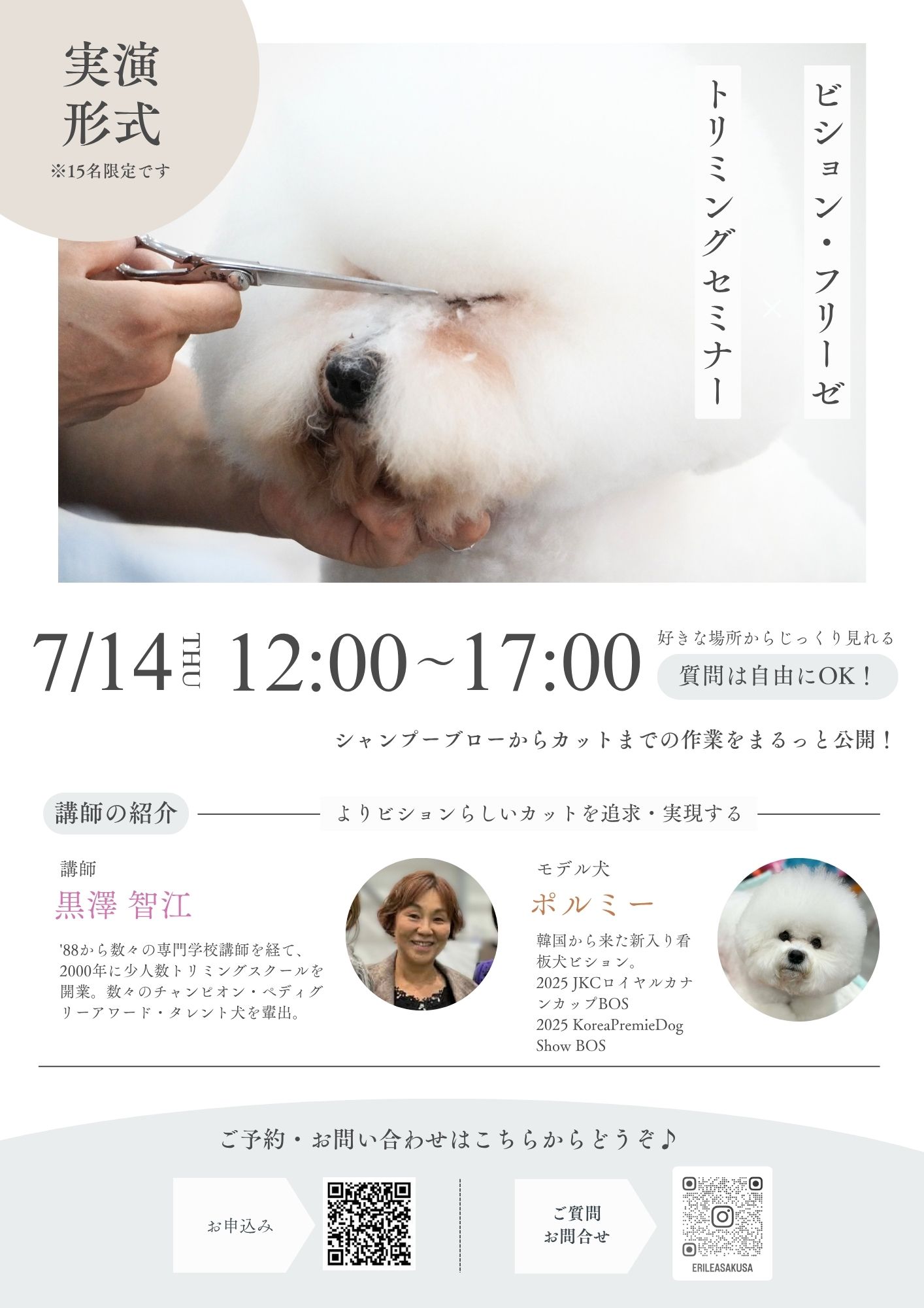 ビションフリーゼトリミングレッスン